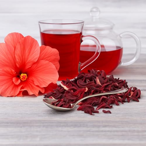 Tozzy Tea - 100 Count (Pyramid Tea Bags) | Pure Plant-Based Ingredients | Eco-Conscious Packaging